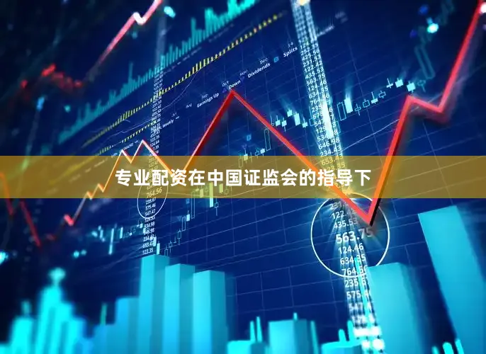 专业配资在中国证监会的指导下