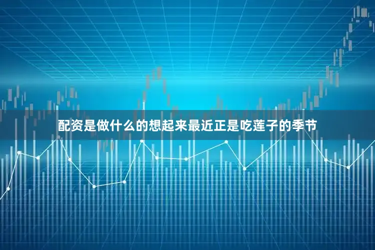 配资是做什么的想起来最近正是吃莲子的季节