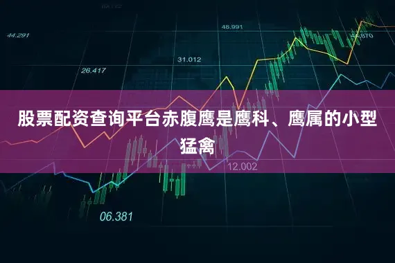 股票配资查询平台赤腹鹰是鹰科、鹰属的小型猛禽