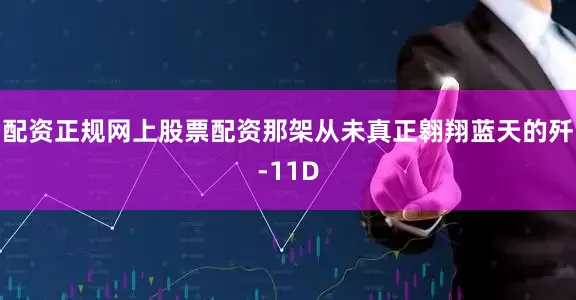 配资正规网上股票配资那架从未真正翱翔蓝天的歼-11D