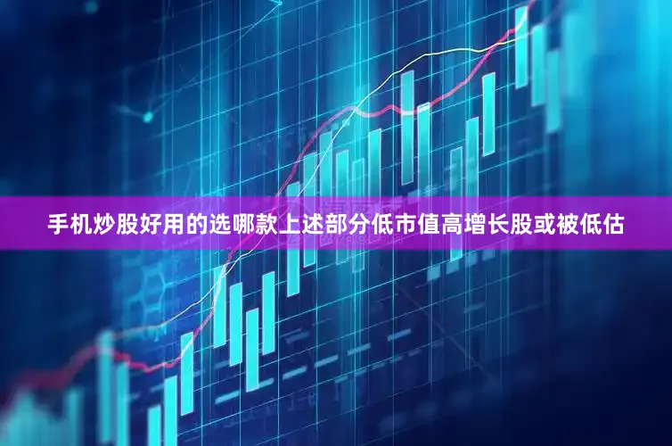 手机炒股好用的选哪款上述部分低市值高增长股或被低估