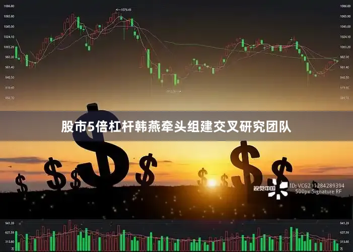 股市5倍杠杆韩燕牵头组建交叉研究团队